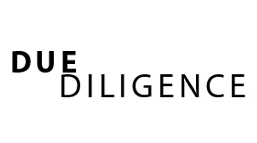 Due Diligence Ltd